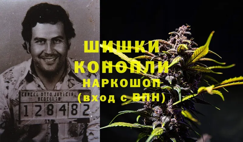 omg как войти  Кингисепп  Канабис LSD WEED 